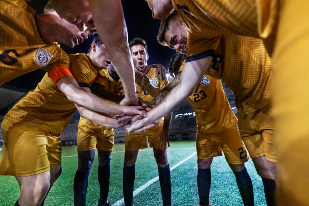 主力前锋 主力前锋